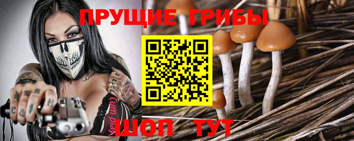 Галлюциногенные грибы GOLDEN TEACHER Ставрополь