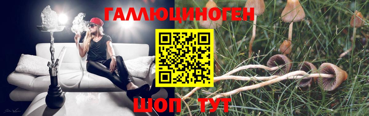 Ставрополь  купить  цена  Вход с VPN  Галлюциногенные грибы Psilocybine cubensis 